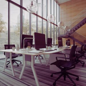 הייטק ללא ניסיון – תפקידים התחלתיים שכדאי להכיר